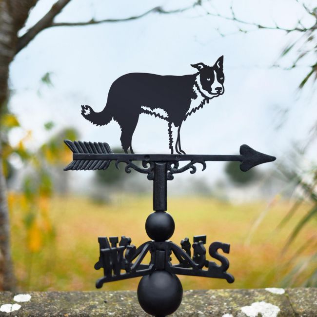 Border Collie with Ear Up Weathervane 