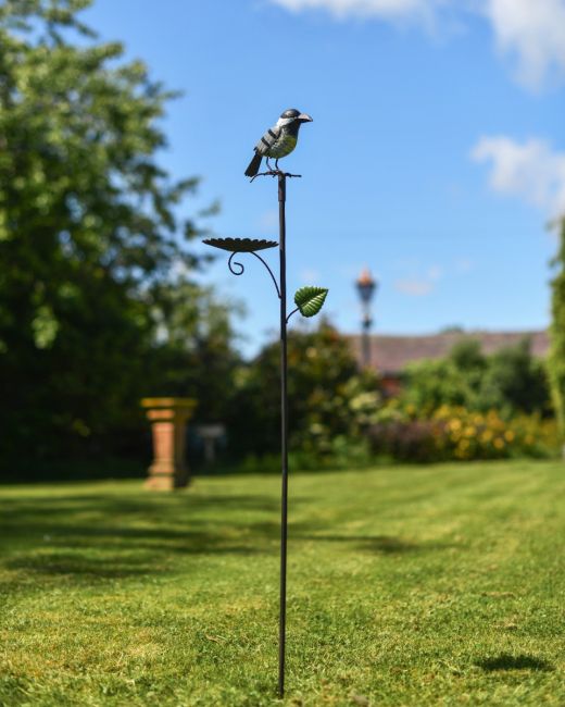 Coal Tit Steel Bird Feeder on Spike 