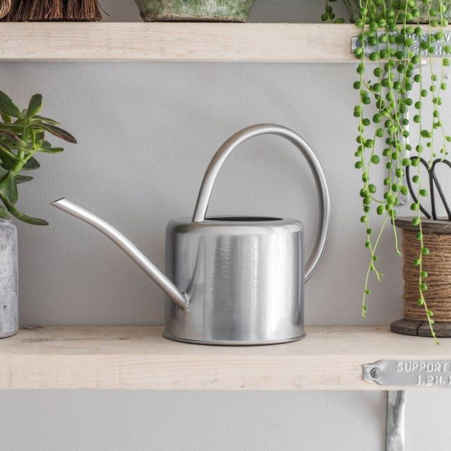 Contemporary Watering Can in Situ Contemporary Watering Can in Situ