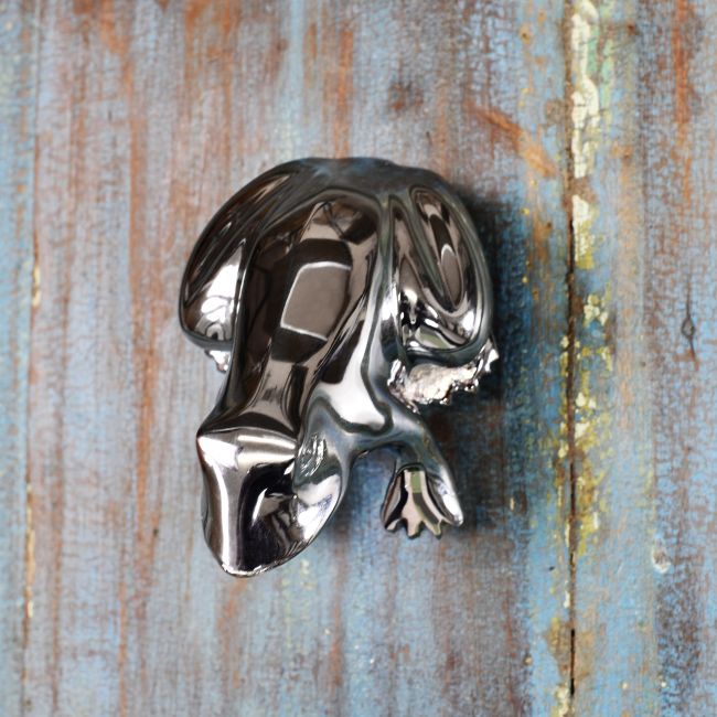 Bright Chrome Frog Door Knocker on Antique door Bright Chrome Frog Door Knocker on Antique door