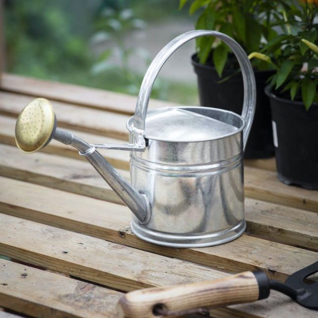 Galvanised Traditional Watering Can in Situ Galvanised Traditional Watering Can in Situ