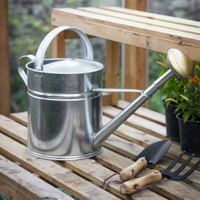 Galvanised Traditional Watering Can in Situ Galvanised Traditional Watering Can in Situ