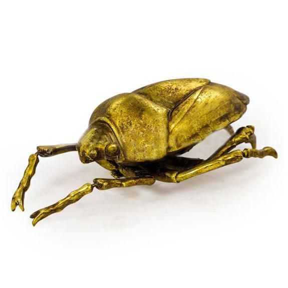 Beetle Wall Art in Gold Beetle Wall Art in Gold