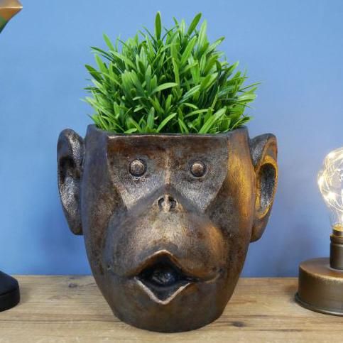 Monkey Header Planter in Situ in the Home Monkey Header Planter in Situ in the Home