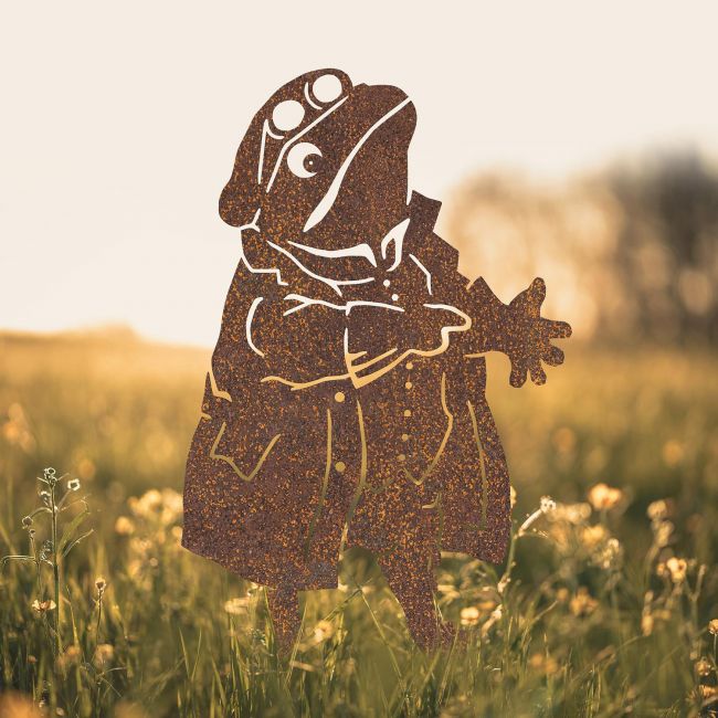Mr Toad Silhouette in Situ in a Field Mr Toad Silhouette in Situ in a Field