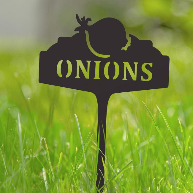 "Onions" Vegetable Label in Situ in the Garden "Onions" Vegetable Label in Situ in the Garden