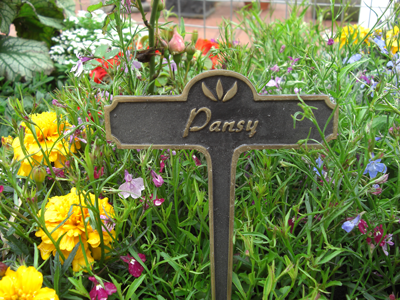 Pansy Brass Garden Plant Marker Pansy Brass Garden Plant Marker