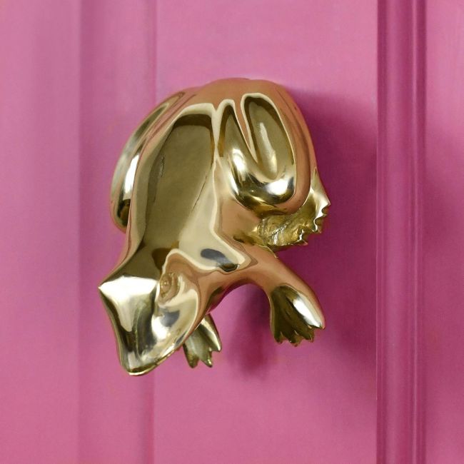 Pink Door With Frog Door Knocker Installed Pink Door With Frog Door Knocker Installed