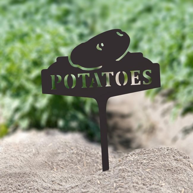 "Potatoes" Vegetable Label in Situ in the Garden "Potatoes" Vegetable Label in Situ in the Garden
