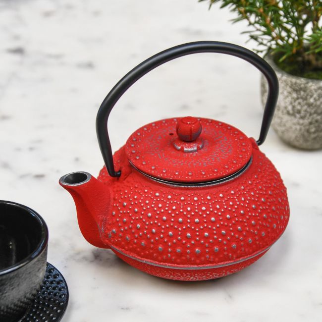 Red Daisy Cast Iron Teapot In Situ Red Daisy Cast Iron Teapot In Situ
