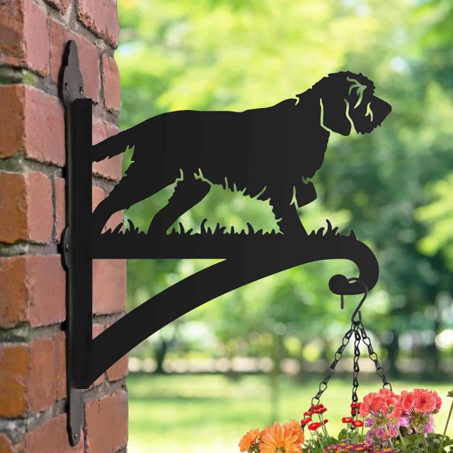 Single Korthals Griffon Hanging Basket Bracket