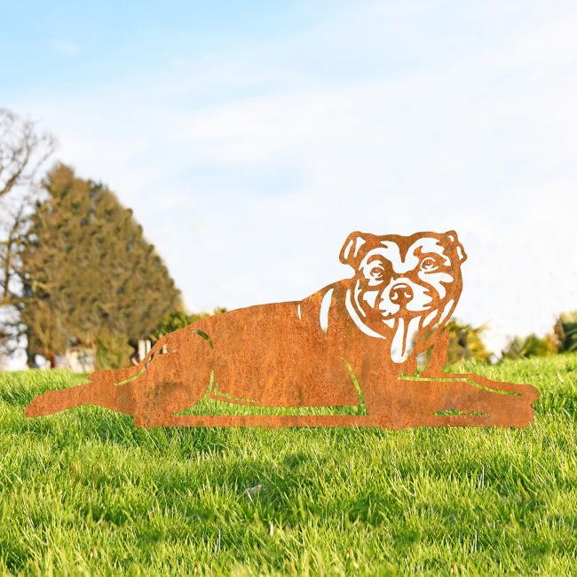 Staffordshire Bull Terrier Silhouette in Situ in a Field Staffordshire Bull Terrier Silhouette in Situ in a Field