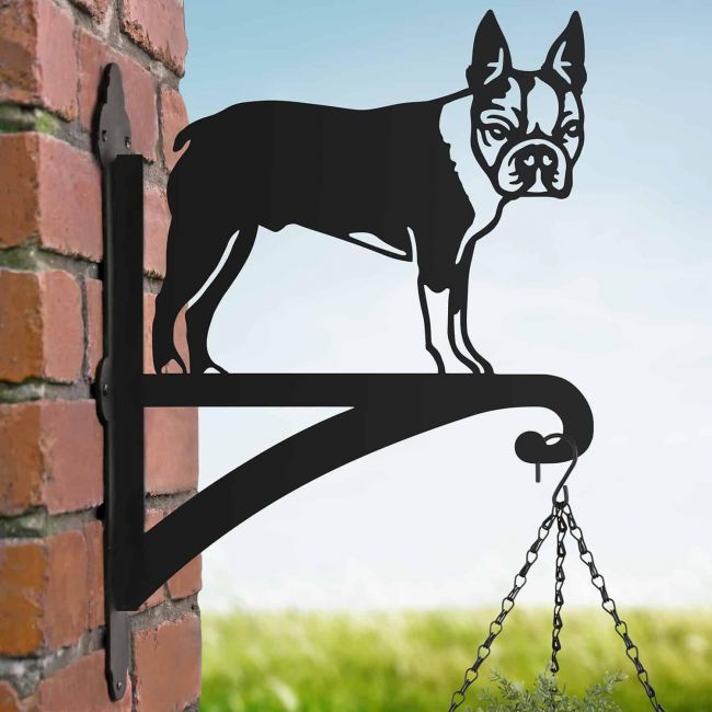Steel Boston Terrier Hanging Basket Bracket
