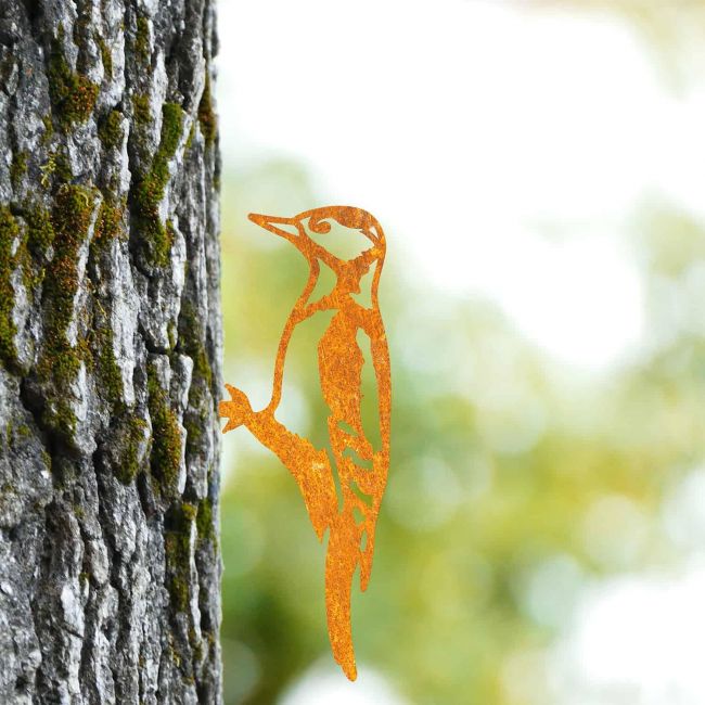Sparrow Tree Spike on Situ on a Tree