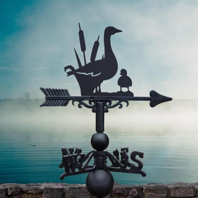Duck & Duckling Weathervane in Situ by a Lake Duck & Duckling Weathervane in Situ by a Lake