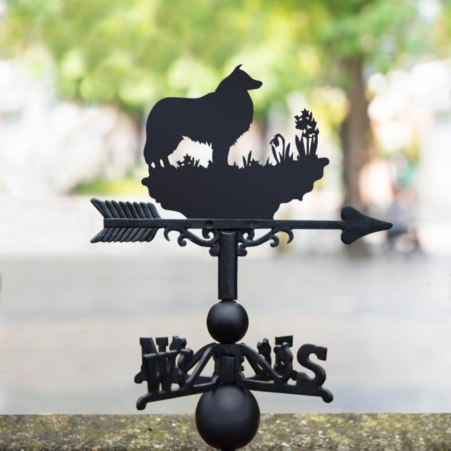 Border Collie or Sheltie Weathervane in garden Border Collie or Sheltie Weathervane in garden