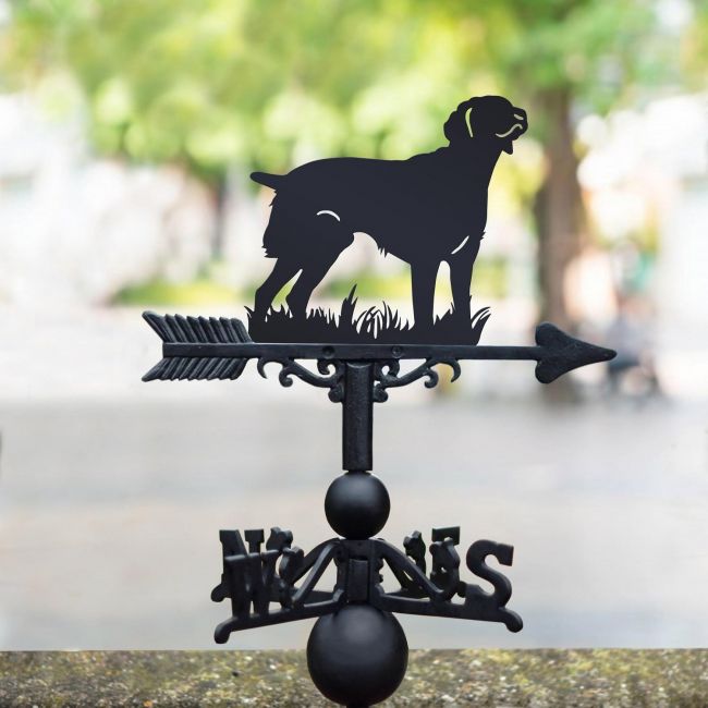 Brittany Weathervane Brittany Weathervane