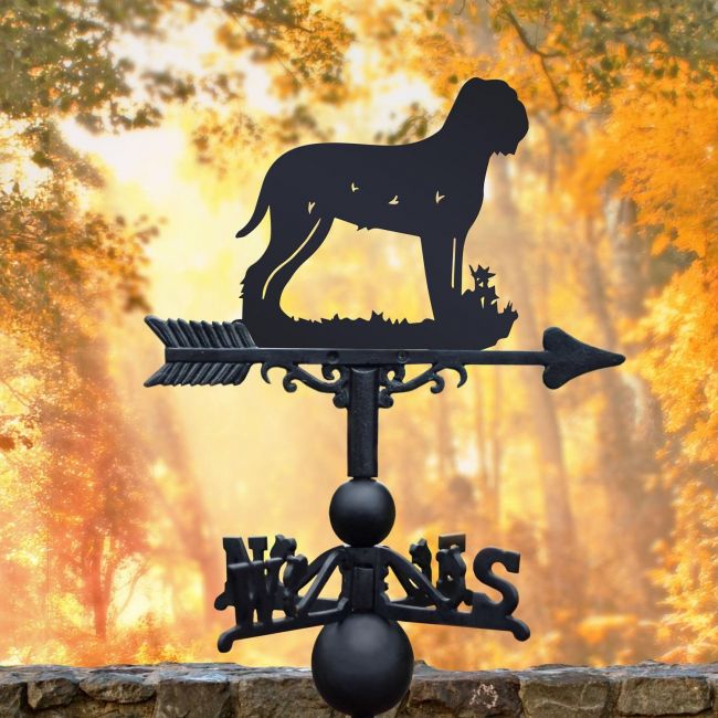 Weathervane with Lagotto Romagnolo Weathervane with Lagotto Romagnolo