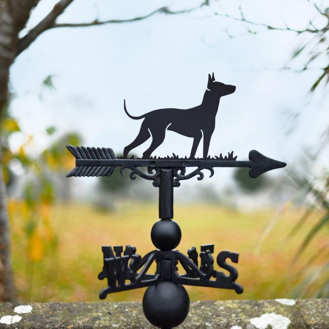 Xoloitzcuintli Dog Weathervane
