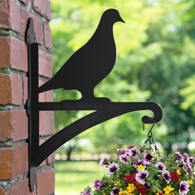 Pigeon Design on the Bracket