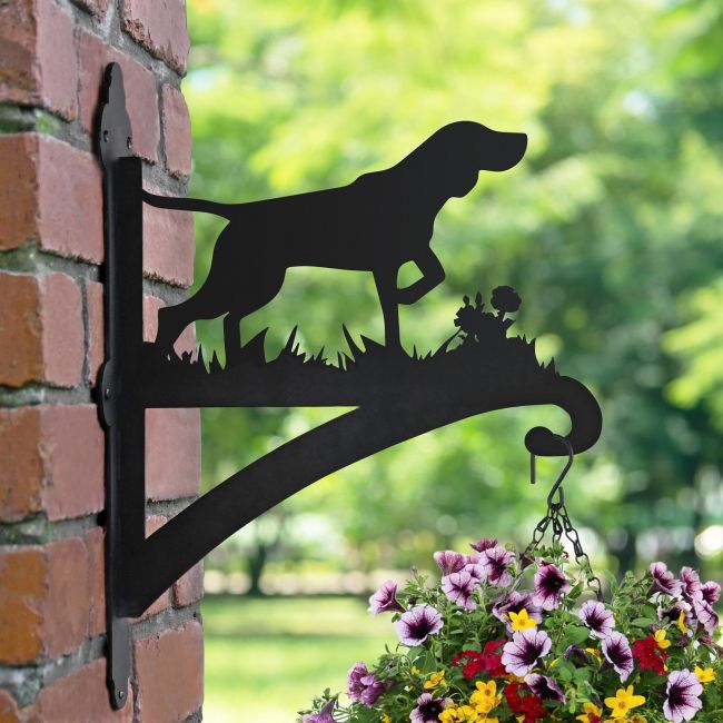 German Short-Haired Pointer Dog Hanging Basket Bracket in Situ on a Brick Wall German Short-Haired Pointer Dog Hanging Basket Bracket in Situ on a Brick Wall