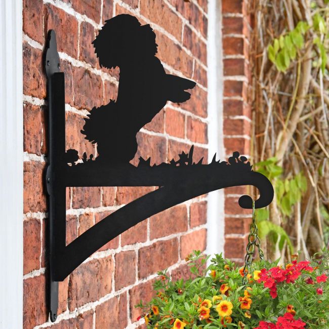 Bichon Frise Dog Hanging Basket Bracket in Situ on a Brick Wall Bichon Frise Dog Hanging Basket Bracket in Situ on a Brick Wall