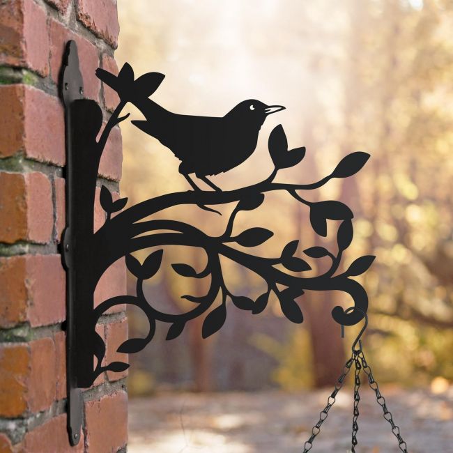 Blackbird and Branches Hanging Basket Bracket in Situ Blackbird and Branches Hanging Basket Bracket in Situ