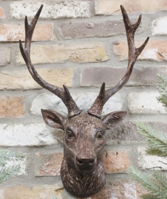 Wall Mounted Rustic Stag Head in Situ Wall Mounted Rustic Stag Head in Situ