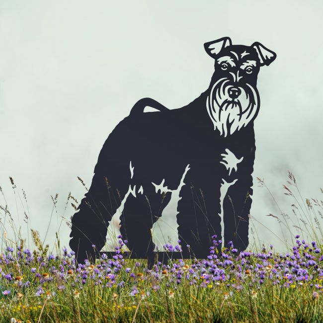 Staffordshire Bull Terrier Silhouette on Display in the Garden Staffordshire Bull Terrier Silhouette on Display in the Garden