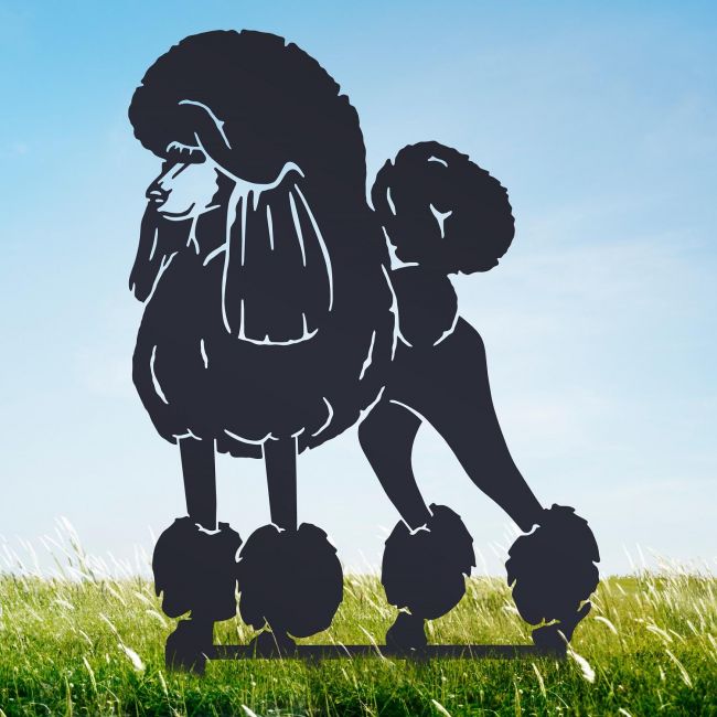 Black Standard Poodle Garden Silhouette Black Standard Poodle Garden Silhouette