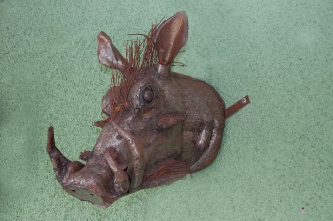 "Pumbrah" Warthog Iron Wall Mounted Bust "Pumbrah" Warthog Iron Wall Mounted Bust