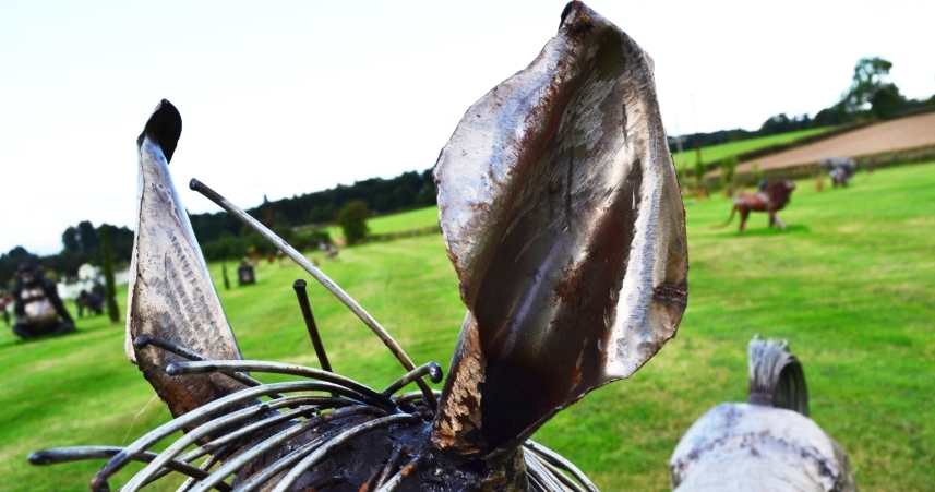 Close Up of Horse Ears