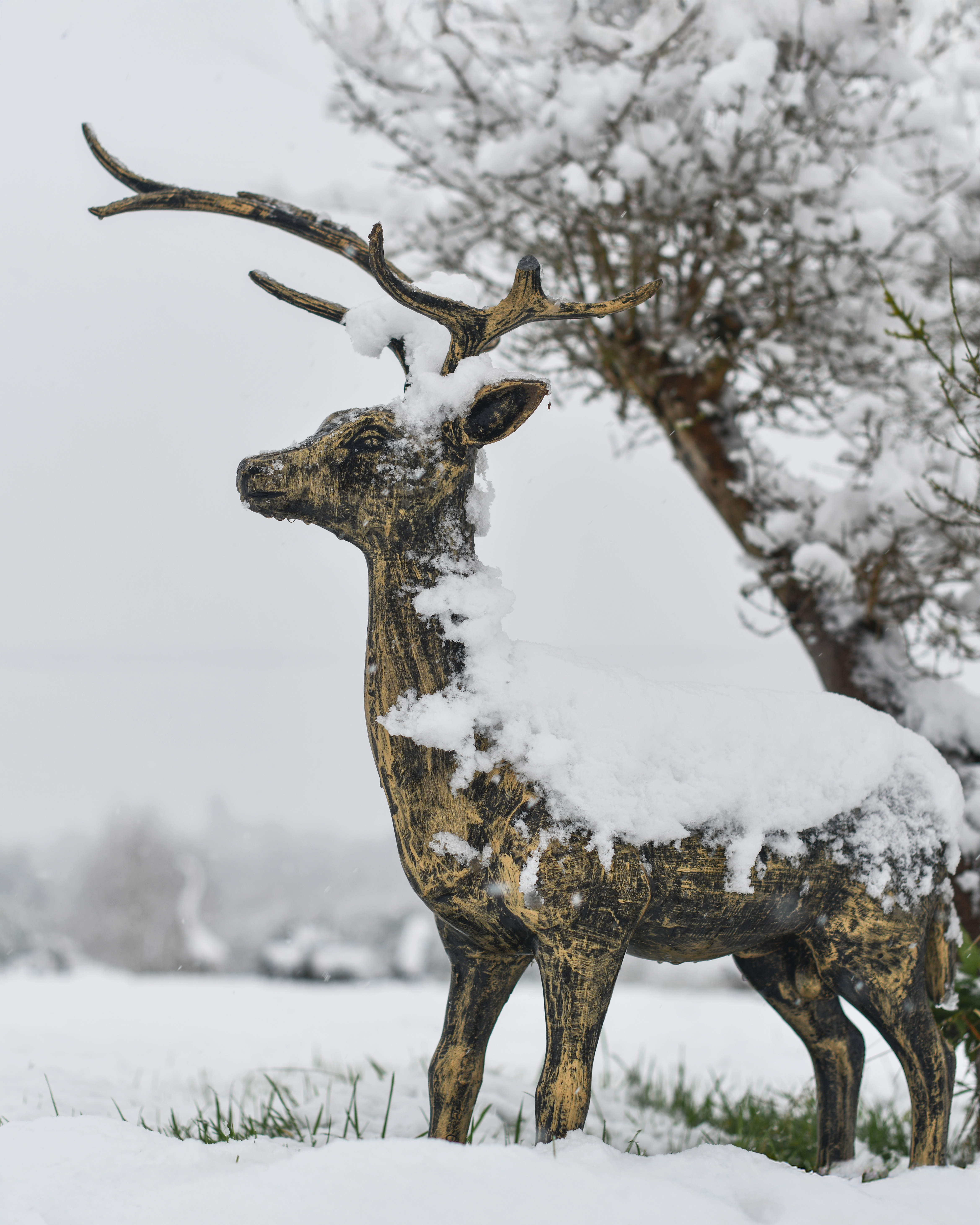 Deer Sculpture