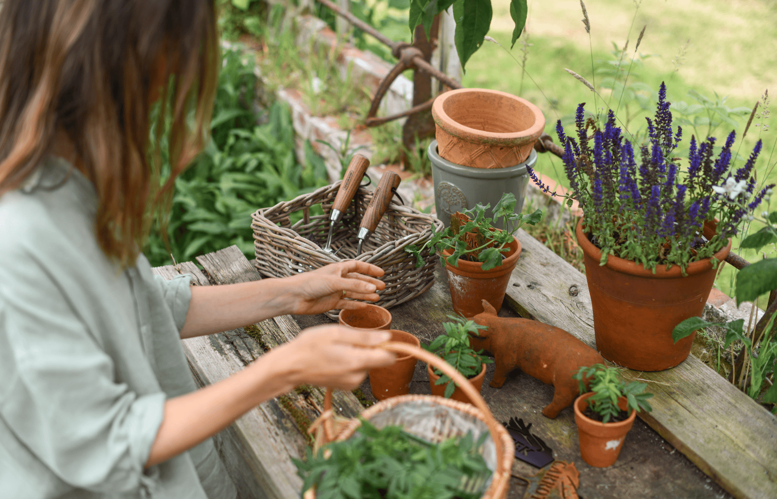 Gardening_Plant_Care_1_
