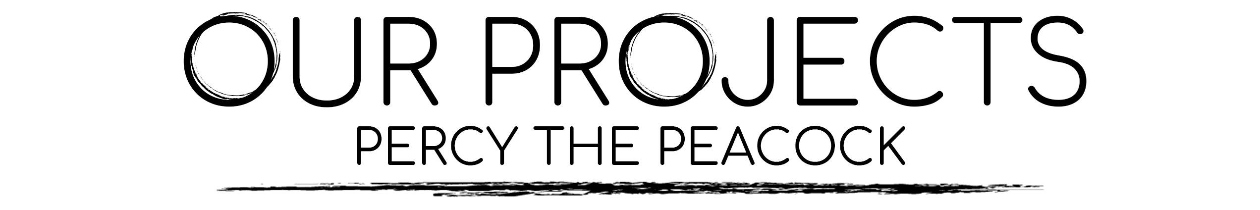 Our Projects- Percy The Peacock