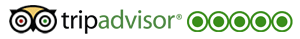 tripadvisor-reviews_1