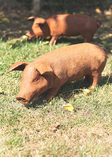 Pig Garden Sculptures Pig Garden Sculptures