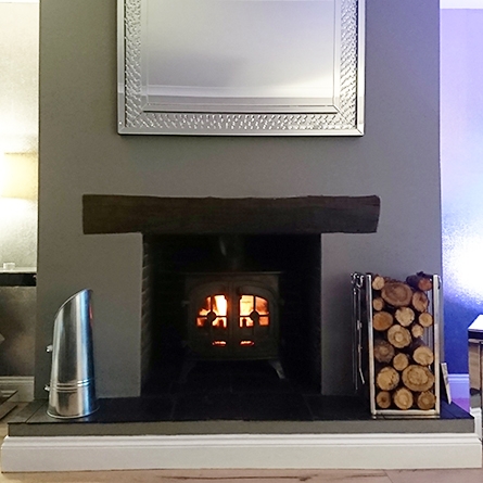 Polished Stainless Coal Hod and Log Store Fireplace
