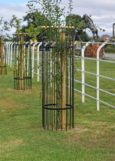 Tree Guards & Surrounds