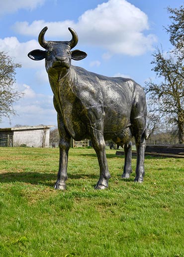 Wildlife & Farm Animal Wildlife & Farm Animal