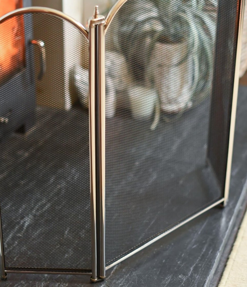 _hemlyn_polished_nickel_fire_guard_4_1