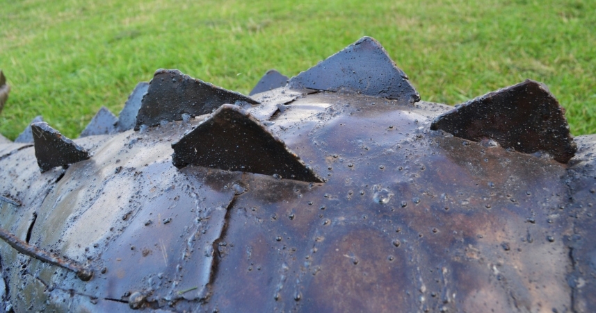 Close Up of Crocodile Scales 