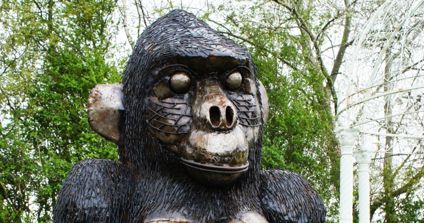 Close up of Giant Gorilla 