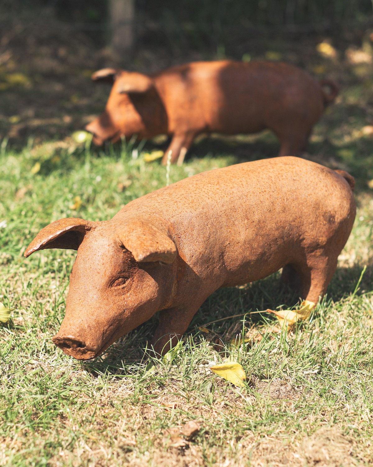 Large Rustic Pig Sculpture